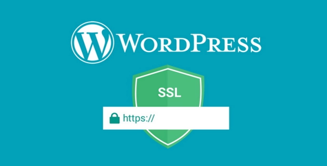 WordPress 定制開發(fā)出現(xiàn)“您的連接不是私密的”問題該如何解決？