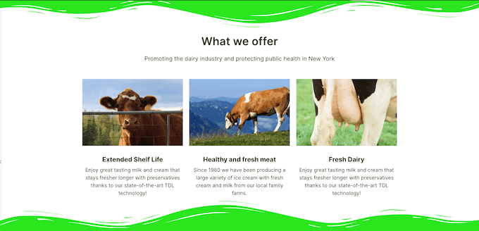 如何在WordPress中創建自定義形狀分隔符