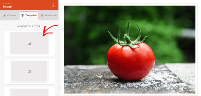 種子生產圖像樣式模板