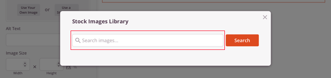 您現在可以搜索 SeedProd 庫存圖片庫