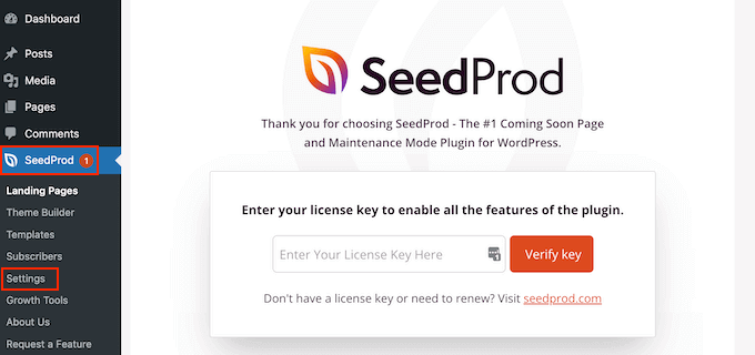 輸入您的 SeedProd 許可證