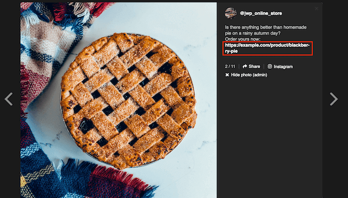 WordPress中可購物的Instagram圖像示例