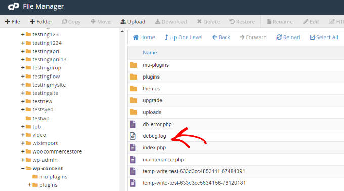 查看調試日志文件