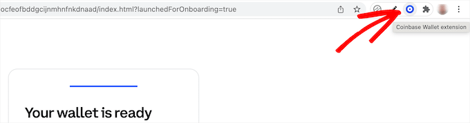 點(diǎn)擊打開(kāi)錢包擴(kuò)展