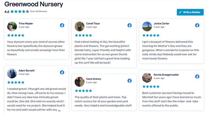 使用 Smash Balloon Reviews Feed Pro 插件的客戶評(píng)論示例