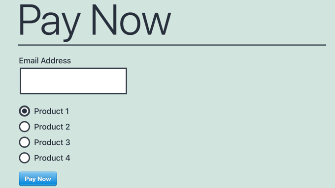 訪問您的網(wǎng)站,查看實際操作的付款表單