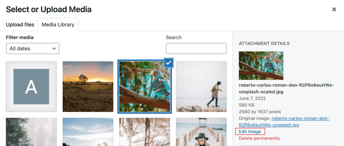 單擊“編輯圖像”鏈接