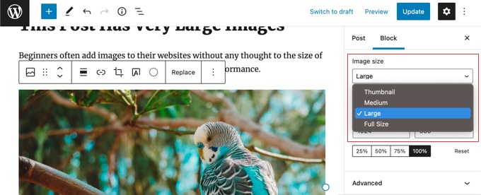 選擇帖子或頁面中的圖片大小