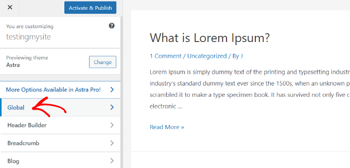 轉到 Astra 中的全局設置