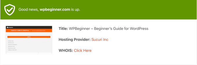 正常運行時間檢查器工具結(jié)果