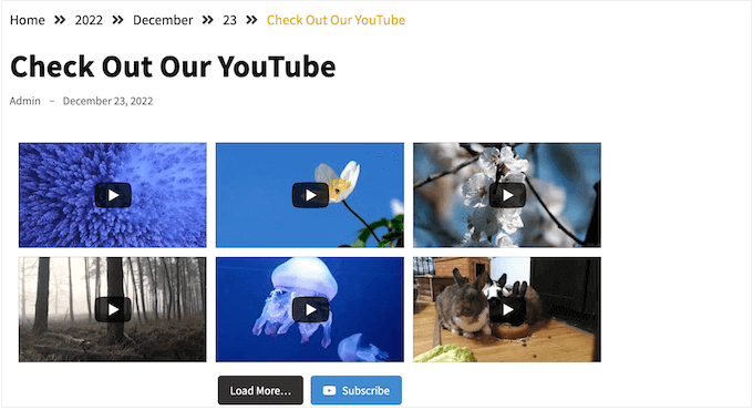 YouTube視頻，嵌入在WordPress網站上