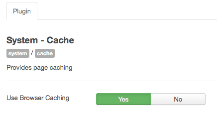 系統(tǒng)緩存插件