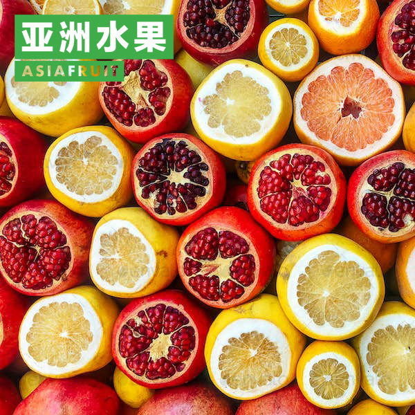 六藝wordpress網站案例