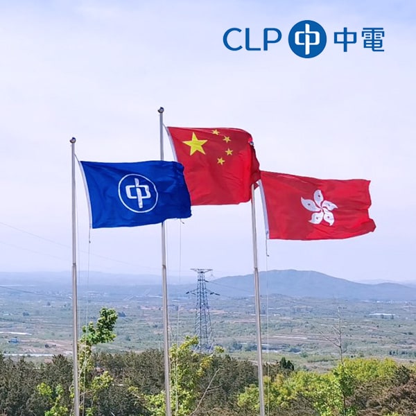 六藝wordpress網(wǎng)站案例